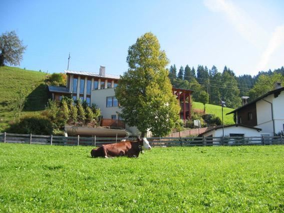 Studio 21A Hopfgarten im Brixental Exterior photo